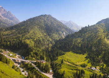 В горах Алматы усилены меры пожарной безопасности