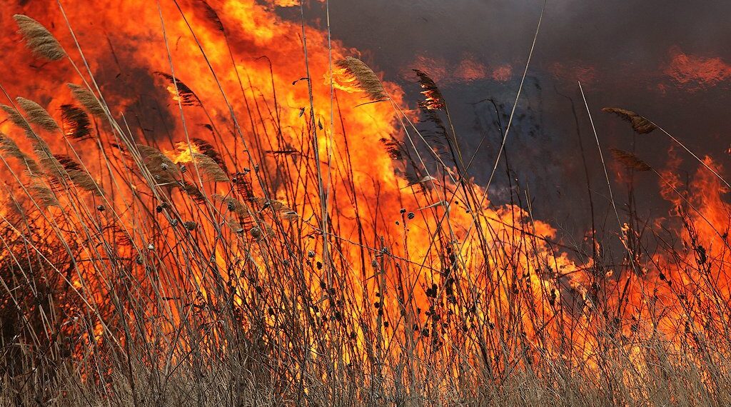 В Абайской области ликвидируют еще один пожар
