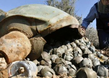 МИД КНДР осудил решение США поставить на Украину кассетные боеприпасы