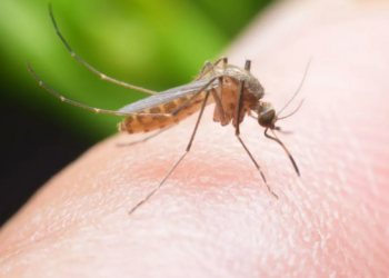 В Казахстане усилен контроль за международными авиарейсами