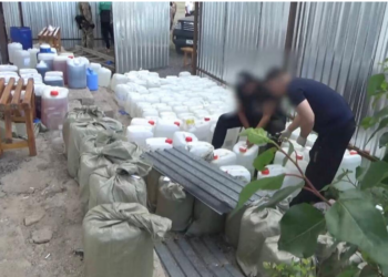 Ликвидирована деятельность нарколаборатории, которую организовал гражданин Украины