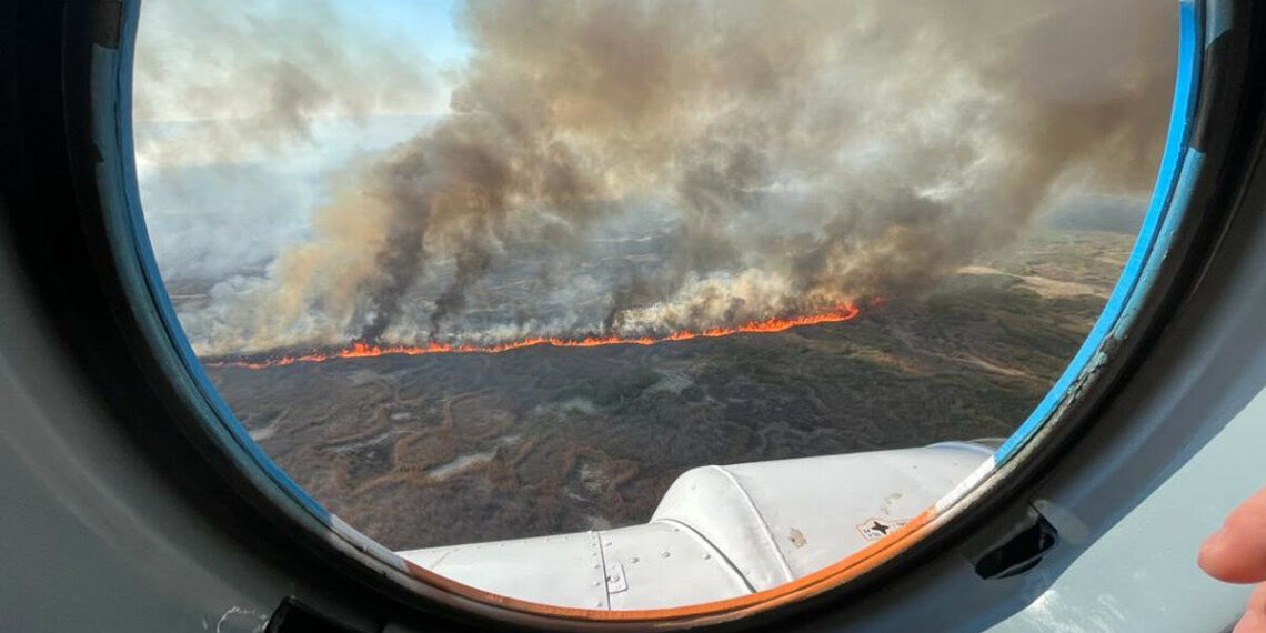 На побережье Каспийского моря увеличилась площадь горящих зарослей