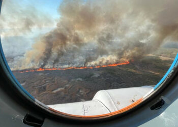 На побережье Каспийского моря увеличилась площадь горящих зарослей