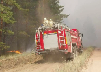 В Абайской области борются с огнем, распространившемся на 20 гектар