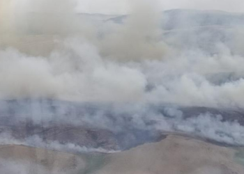 В Баянаульском районе бушует крупный пожар