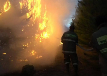 В трех округах Щербактинского района Павлодарской области объявят режим ЧС