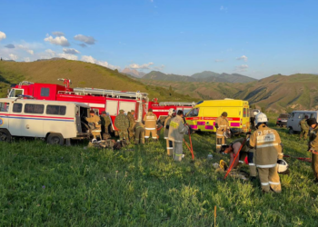 В лесничестве «Ертіс Орманы» Павлодарской области горя деревья