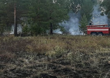 В лесничестве «Ертыс-Орманы» вновь борьба с огнем