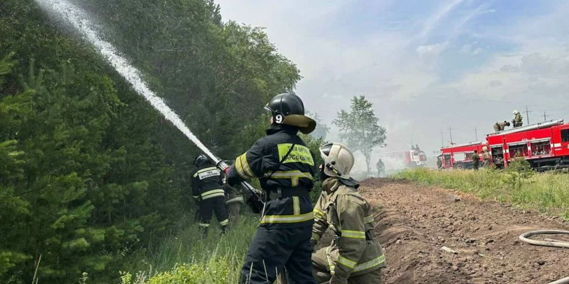 Пожар на территории резервата «Ертис орманы» локализован