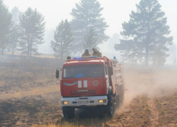 Лесной пожар в Абайской области ликвидирован