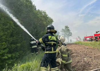 Пожар на территории резервата «Ертис орманы» локализован