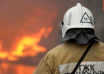 Пожар в Баянаульском заповеднике ликвидирован