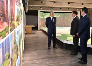 Токаеву представили генплан развития столицы