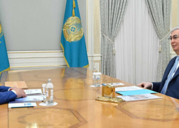 Токаев принял председателя Управляющего комитета Астанинского хаба государственной службы