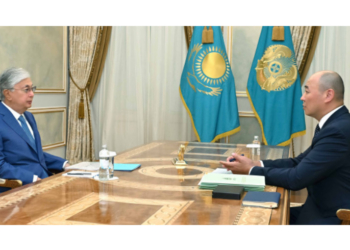 Токаев принял председателя правления АО «НУХ «Байтерек»