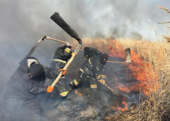 В Акмолинской области ликвидировано возгорание сухостоя, площадью 500 гектаров