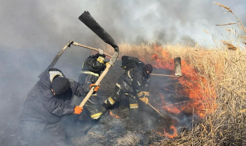 В Акмолинской области ликвидировано возгорание сухостоя, площадью 500 гектаров