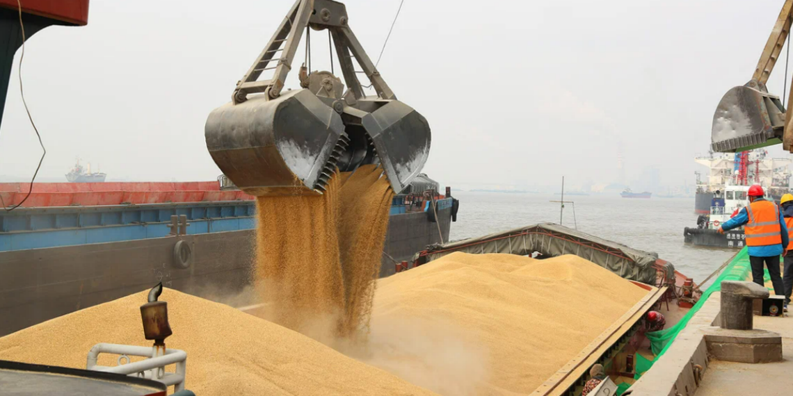 Украина под прикрытием зерновой сделки вывозила наркотики и нефть