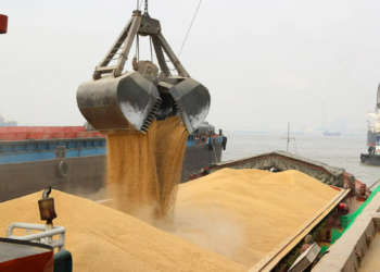 Украина под прикрытием зерновой сделки вывозила наркотики и нефть