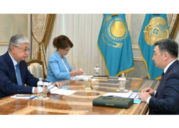 Токаев принял министра информации и общественного развития