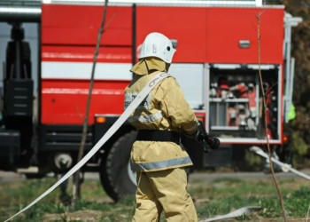 Пожар в резервате «Семей Орманы» локализован