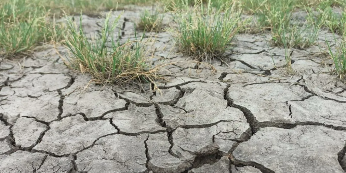 В Казахстане рассматривают применение передовых технологий в борьбе с засухой