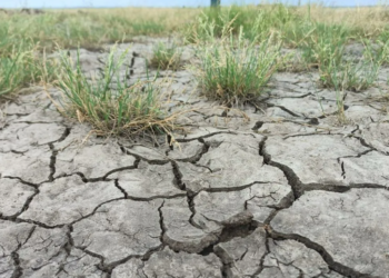 В Казахстане рассматривают применение передовых технологий в борьбе с засухой