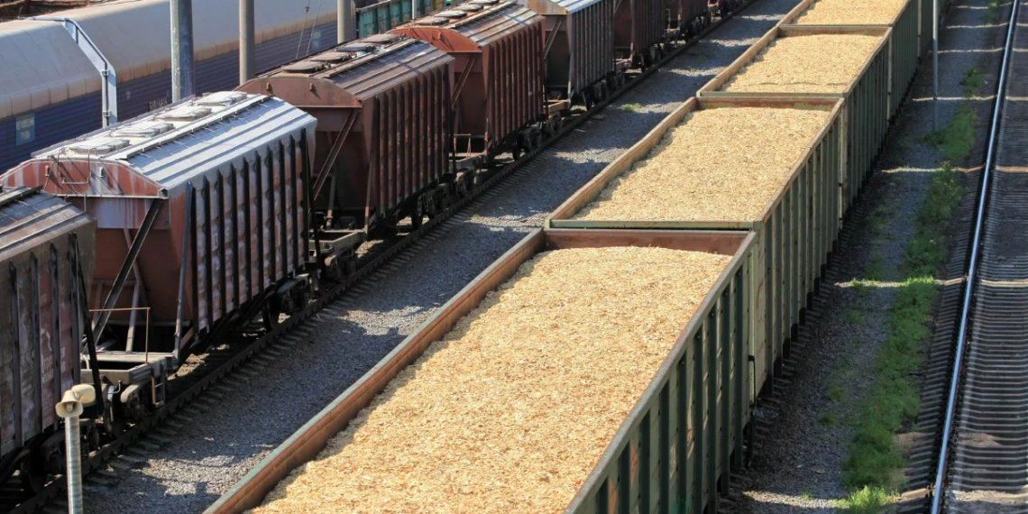 В Казахстане вводится запрет на ввоз пшеницы железнодорожным транспортом
