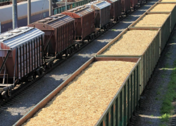 В Казахстане вводится запрет на ввоз пшеницы железнодорожным транспортом