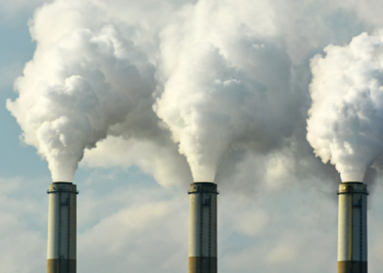 С природопользователей в Абайской области взыскали более 100 млн тенге