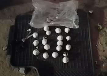 Наркодиллер из Павлодара маскировал наркотики под курт