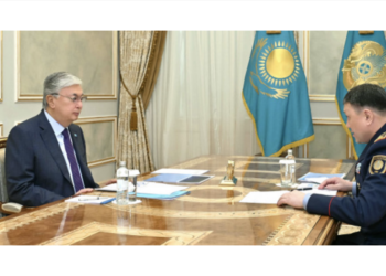 Токаев принял министра внутренних дел Ержана Саденова