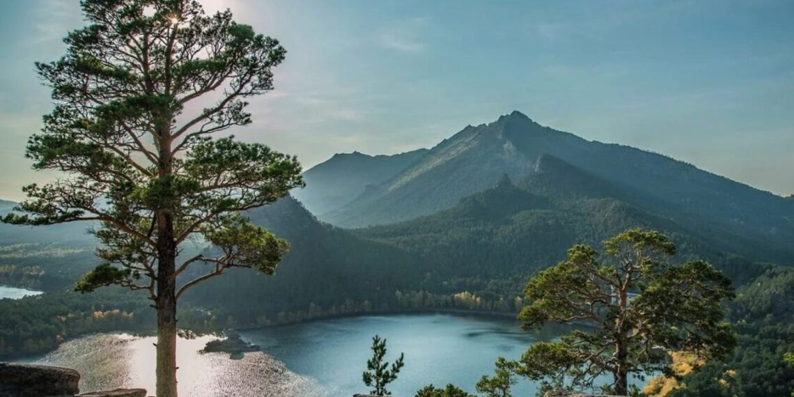 Свыше 500 000 деревьев высадят в национальном парке Бурабай