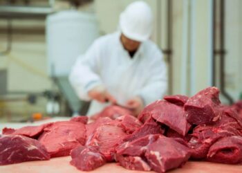 КНР сняла ограничения на ввоз из Казахстана животноводческой продукции