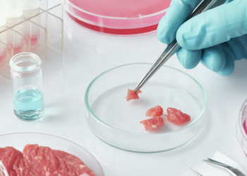 На укрепление ветеринарной службы Казахстана выделено 3,8 миллиарда тенге