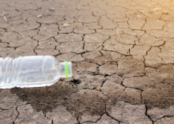 Проблема дефицита водных ресурсов в Казахстане будет лишь усугубляться со временем