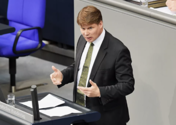 Депутат Бундестага заявил, что поставки оружия Киеву только затянут конфликт