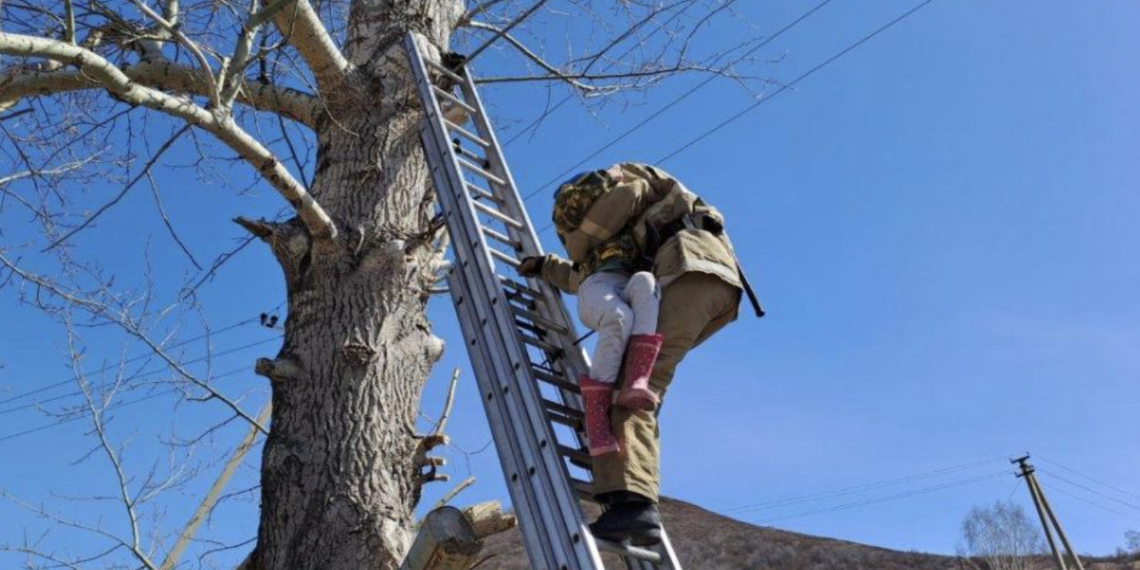 В МЧС призвали не оставлять детей без присмотра