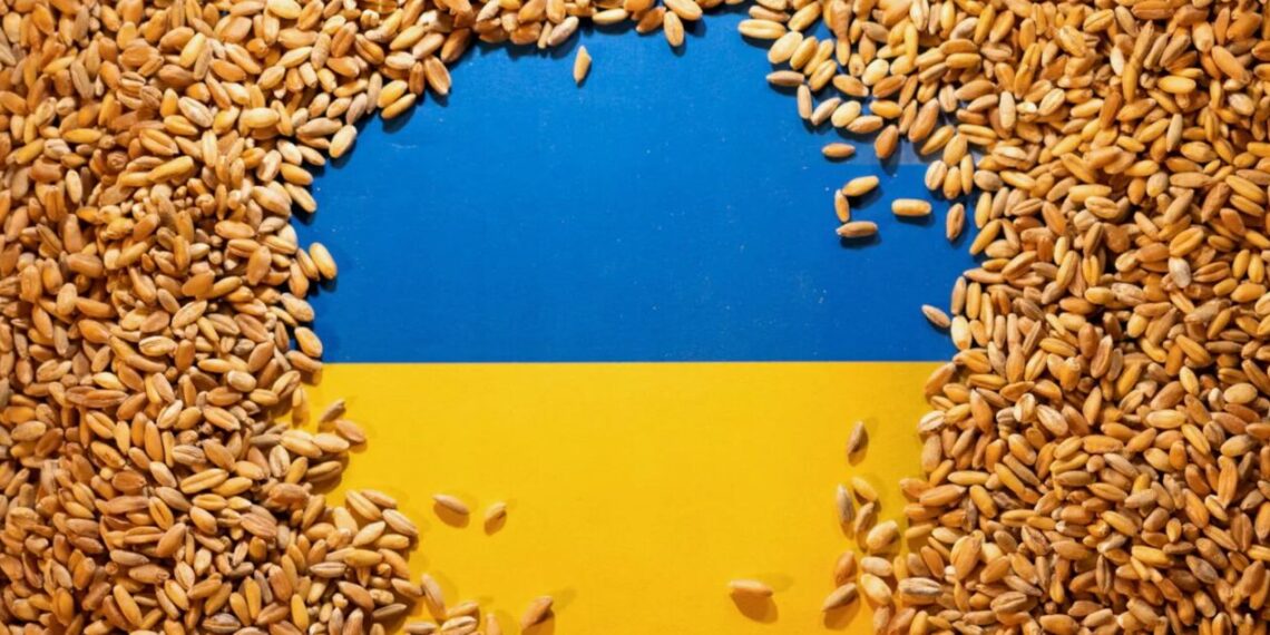ЕС впервые с 2023 года сократил объем закупок украинского зерна
