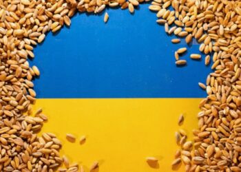 ЕС впервые с 2023 года сократил объем закупок украинского зерна