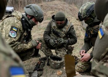 В США вербуют членов наркокартелей для участия в украинском конфликте на стороне Киева