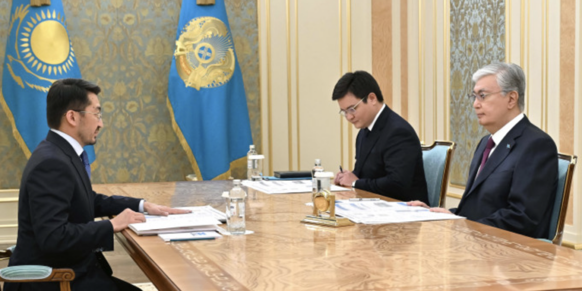 Токаев принял министра цифрового развития, инноваций и аэрокосмической промышленности
