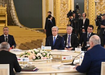 Глава государства принял участие в заседании ВЕЭС в узком формате