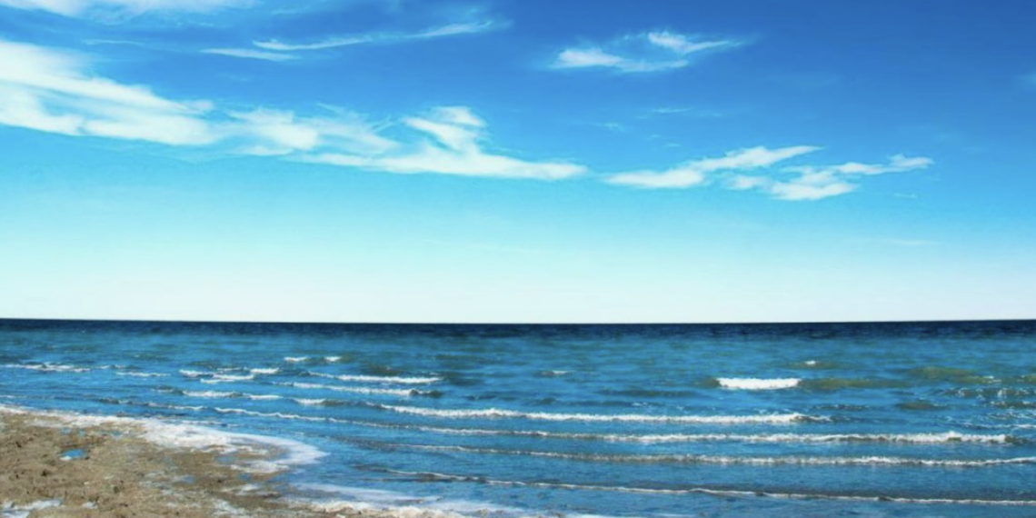 В Северное Аральское море поступил 1,1 млрд кубометров воды