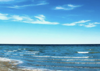 В Северное Аральское море поступил 1,1 млрд кубометров воды