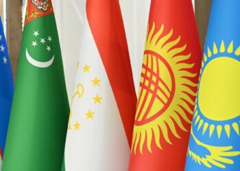 Страны ЦА решают региональные проблемы исходя из общих национальных интересов