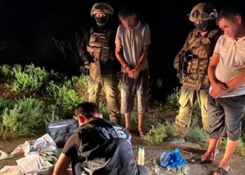 Казахстанец и двое иностранцев осуждены за контрабанду и сбыт наркотиков