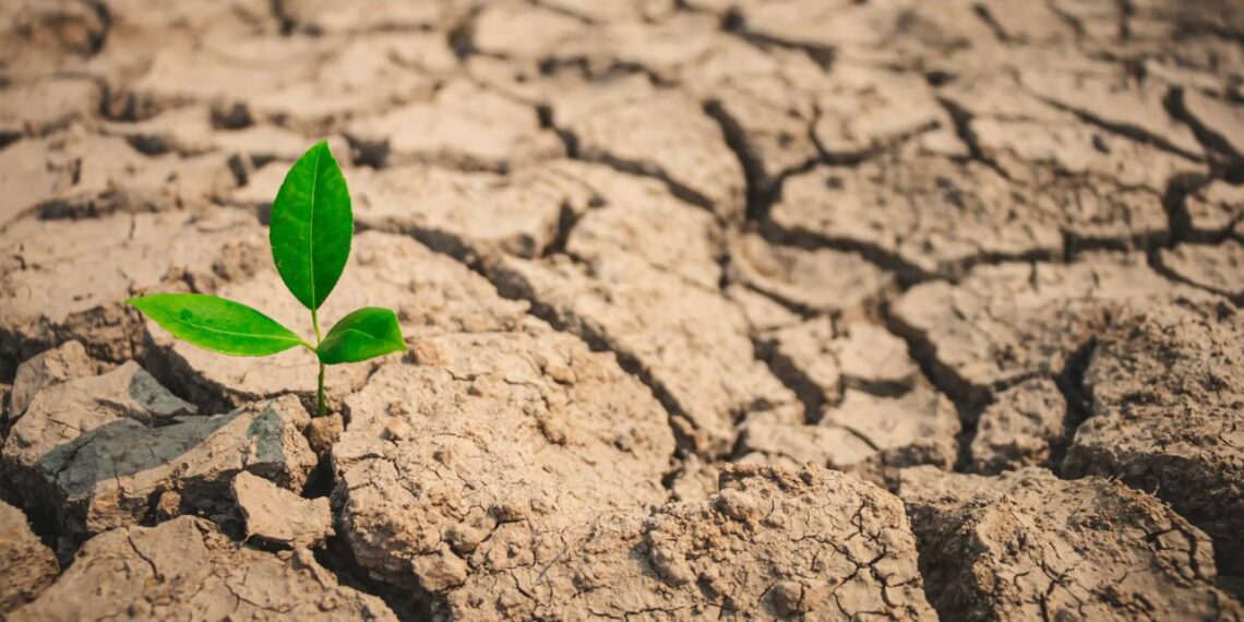 С какими погодными рисками столкнется Казахстан в долгосрочной перспективе?