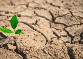 С какими погодными рисками столкнется Казахстан в долгосрочной перспективе?