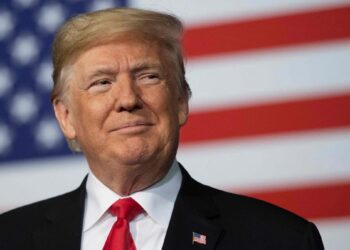 Страны НАТО в случае победы Трампа могут отказаться от поддержки Киева — Politico